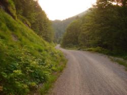 2013-07-20_Regina-F-Rau_Kochel-Rabenkopf (572).JPG